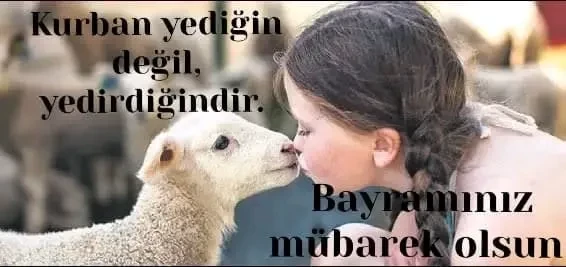 Kurban Nedir, Neden Kesilir? Asıl Olan Yedirmek ve Yaşatmaktır